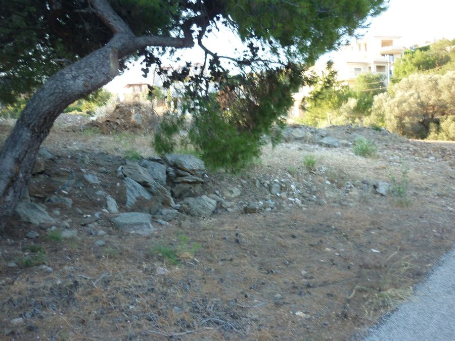 Photo 299027816
