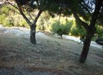 Photo 299027825