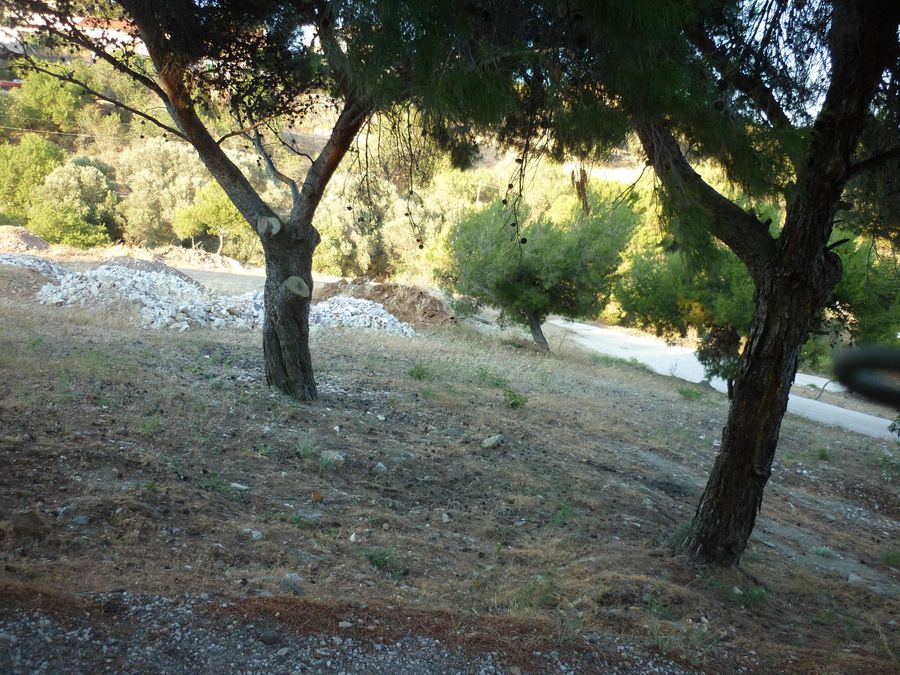 Photo 299027825