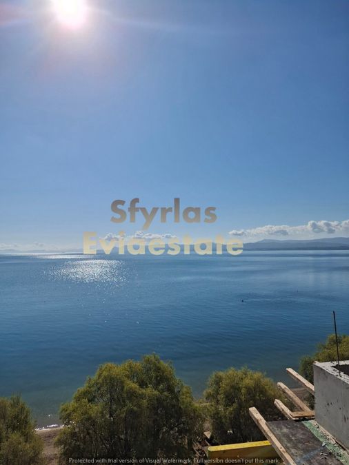 Photo 299281319