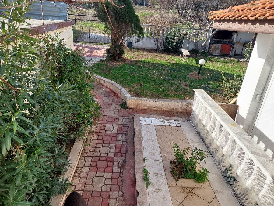 Photo 299628095