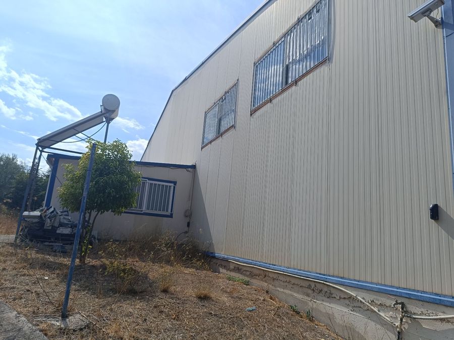 Photo 299849180