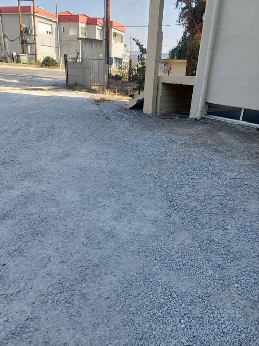 Photo 300060836