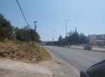 Photo 300062477