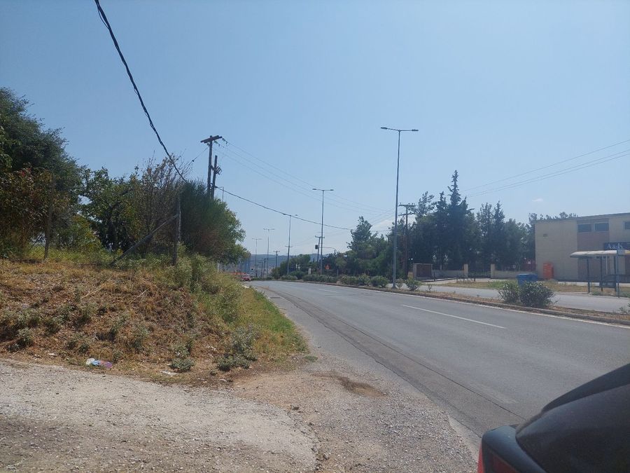 Photo 300062477