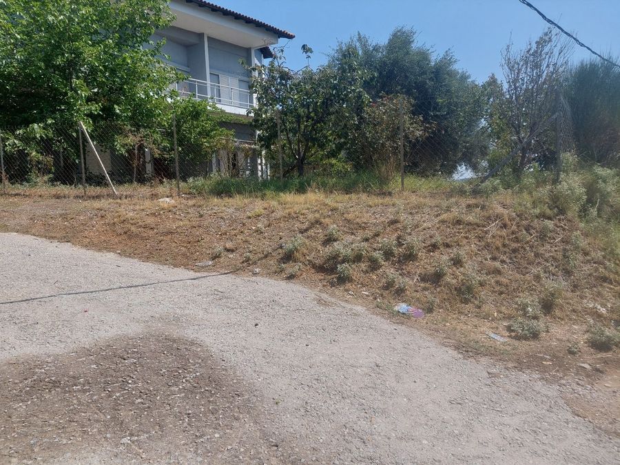 Photo 300062492