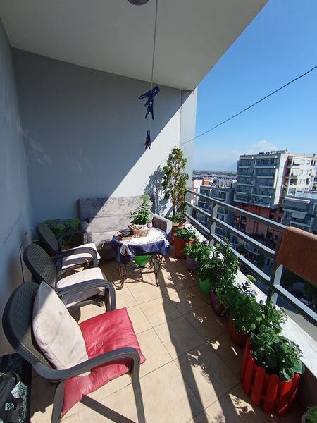 Foto 300153728