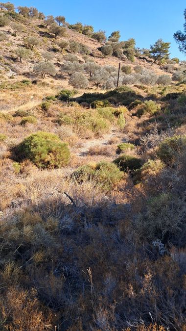 Photo 300230618