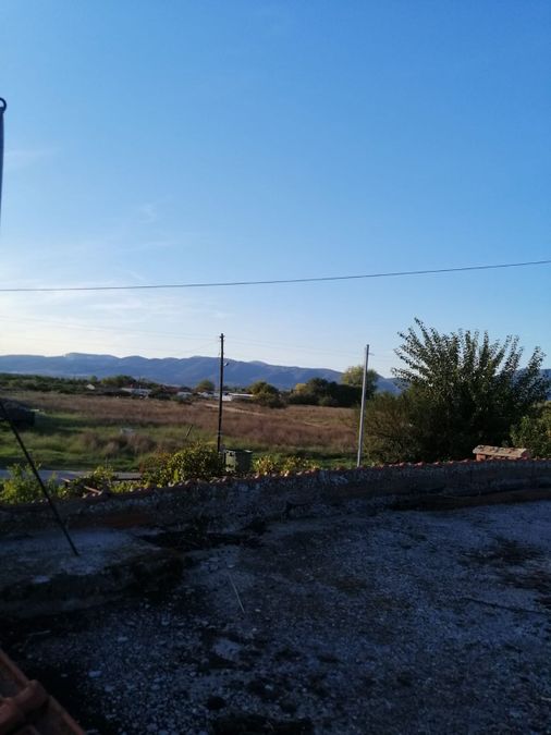 Photo 300636455