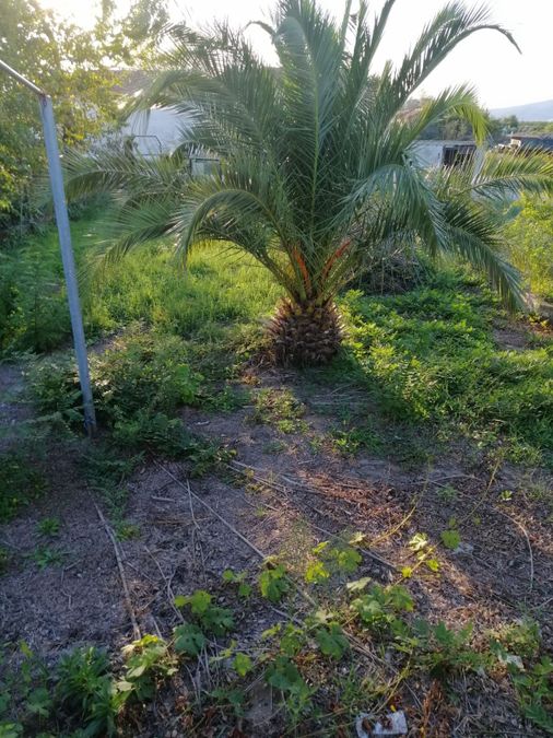 Photo 300636503