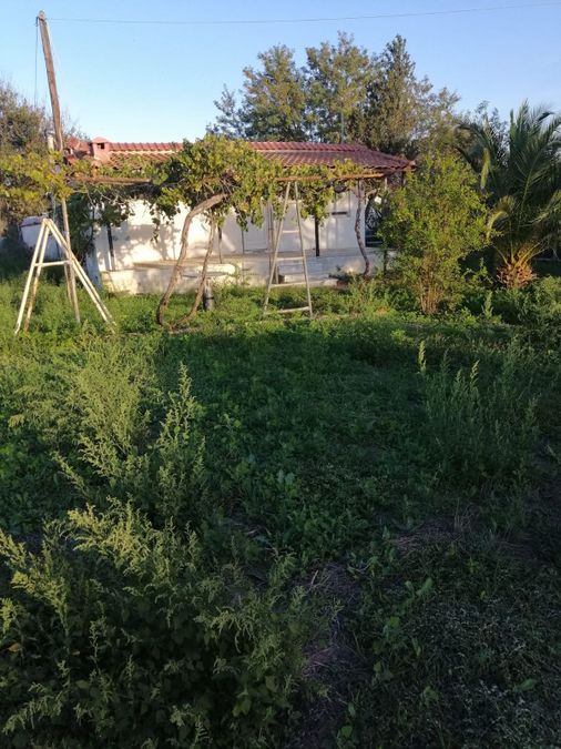 Photo 300636521