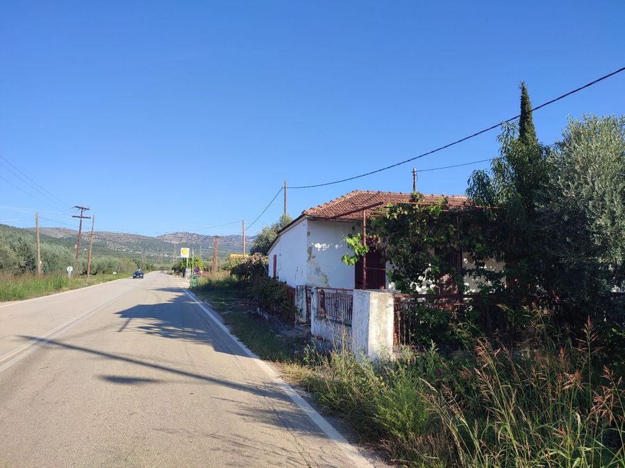 Photo 300669770