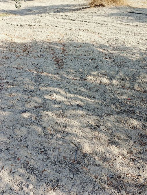 Photo 300710888