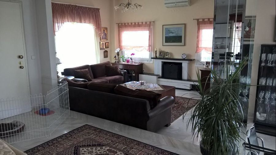 Photo 300963854