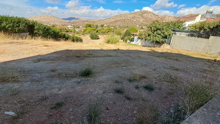 Photo 301130609