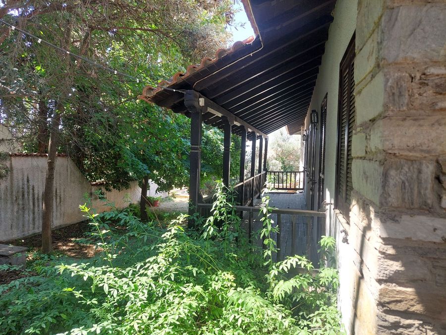 Photo 301326344