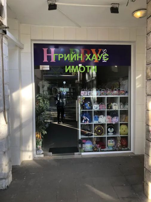 Снимка 302068712