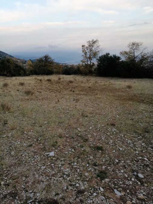 Photo 302455130
