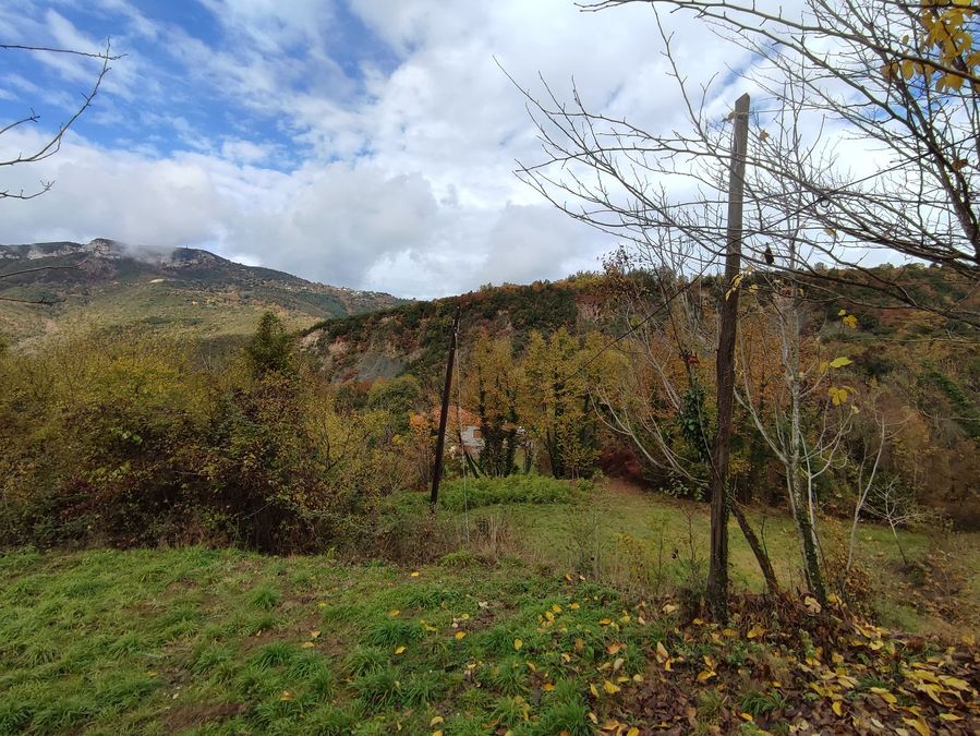 Photo 302658422