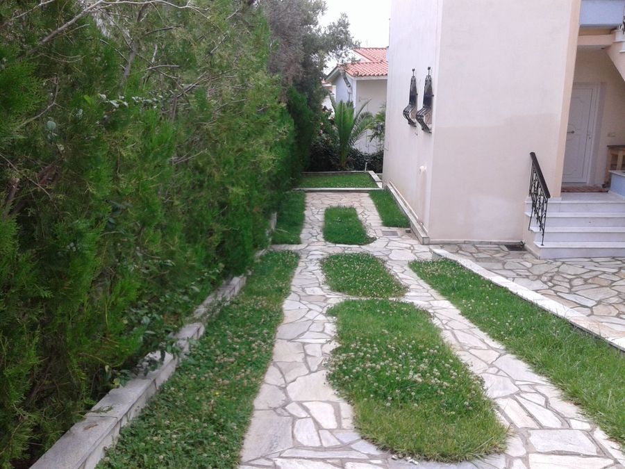 Photo 302941577