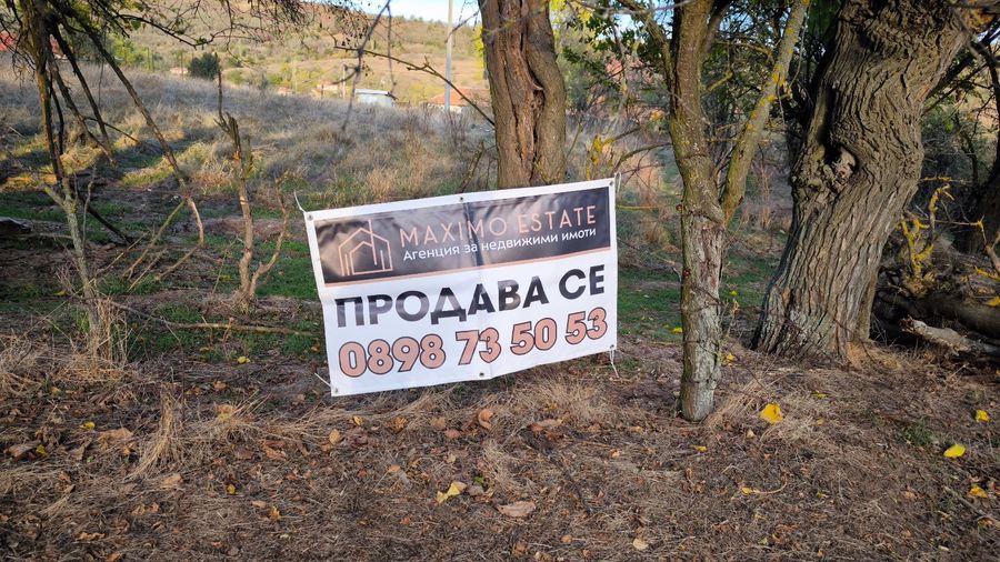 Снимка 303004412