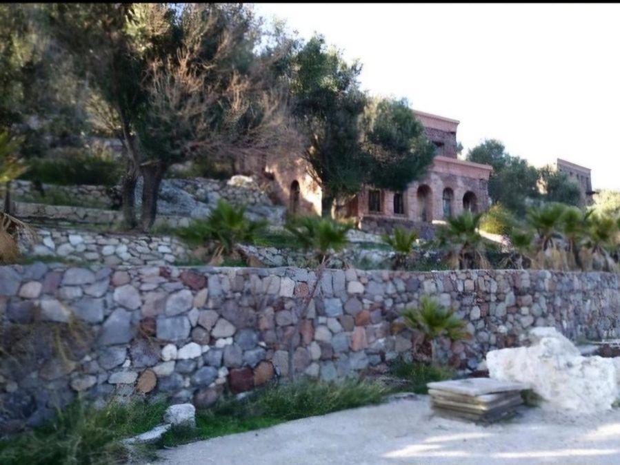 Снимка 303120512