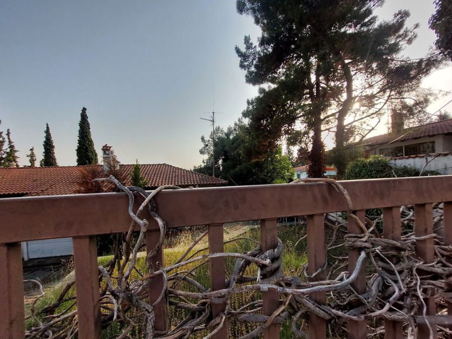 Photo 303241814