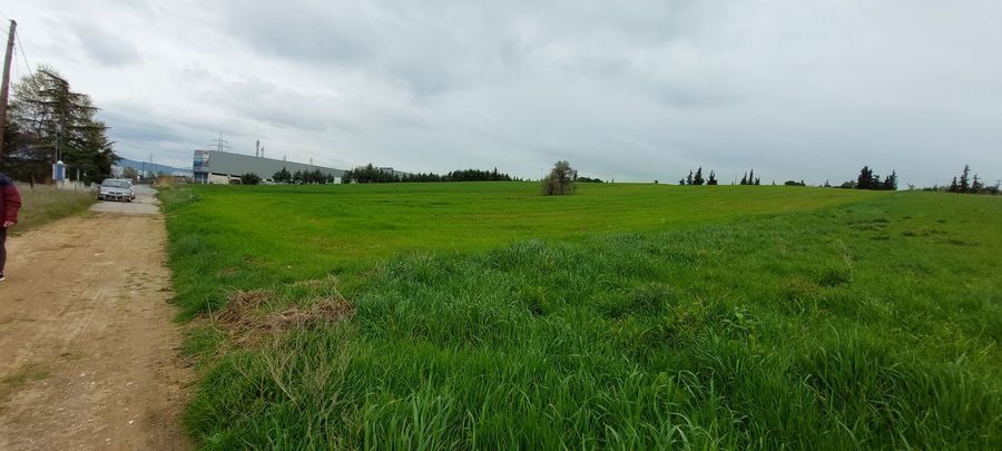 Photo 303244268
