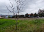 Photo 303244271