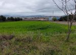 Photo 303244274