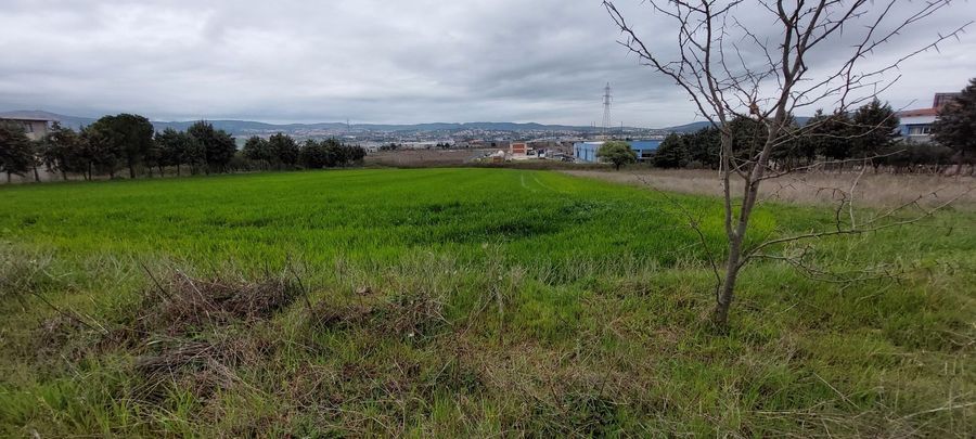 Photo 303244274