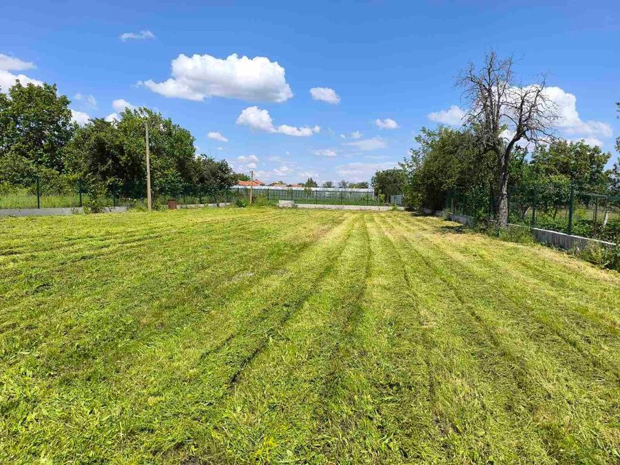 Снимка 303300254