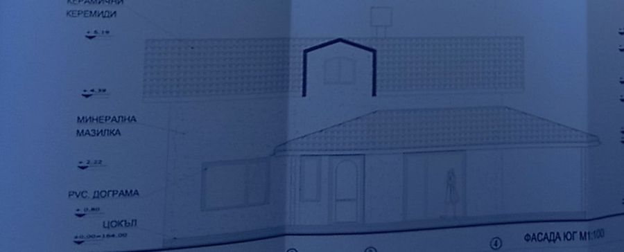 Снимка 303303038