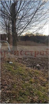 Снимка 303363146