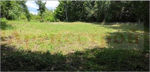 Снимка 303367772