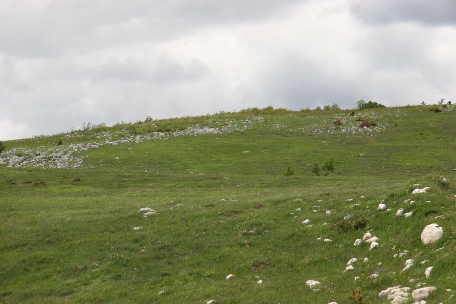 Land Bank, Žabljak (pending UTU / opstina approval or develop now) 3