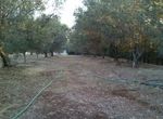 Photo 303553511