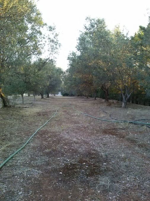 Photo 303553511
