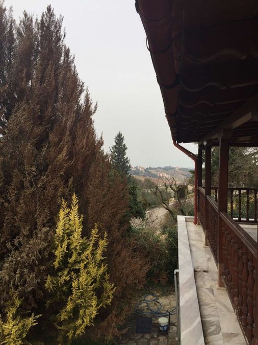 Photo 303737471