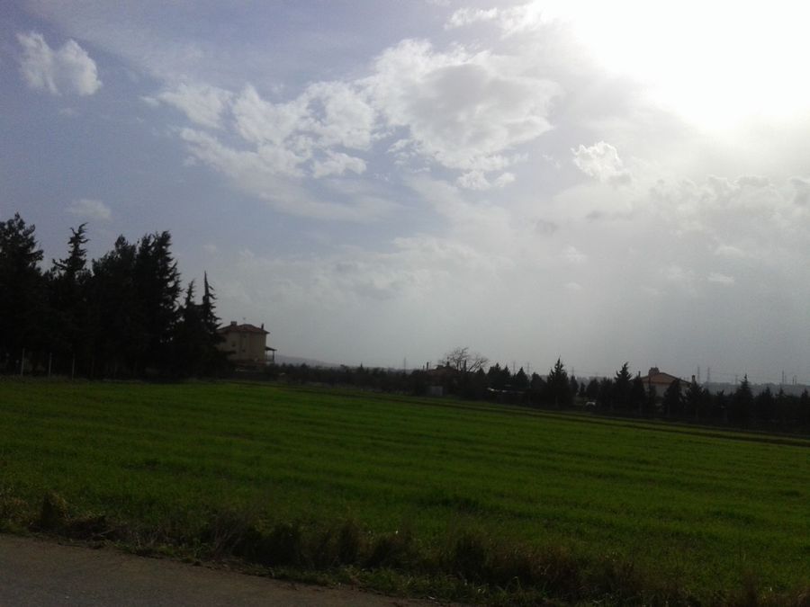 Photo 303854228
