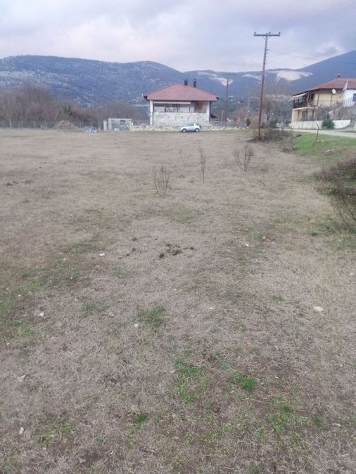 Photo 304078553