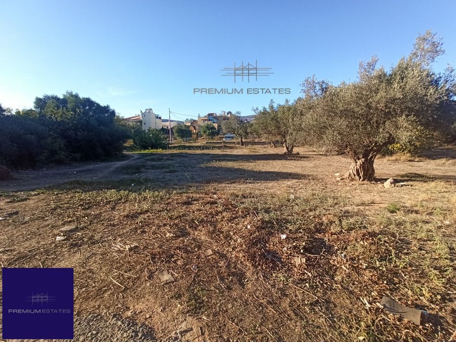 Photo 304110791