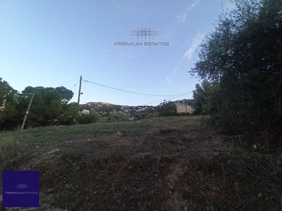 Photo 304112990