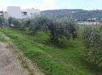 Photo 304214633