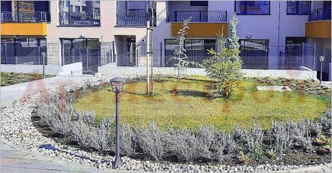 Снимка 304264847