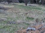 Photo 304266140