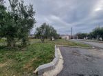 Fotografija 304413449