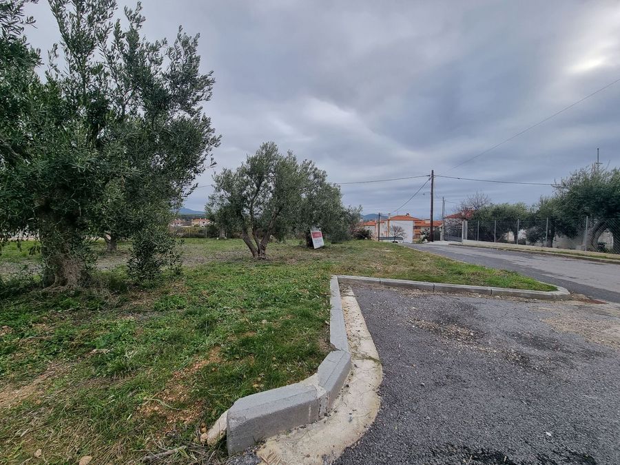 Fotografija 304413449