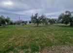 Fotografija 304413797