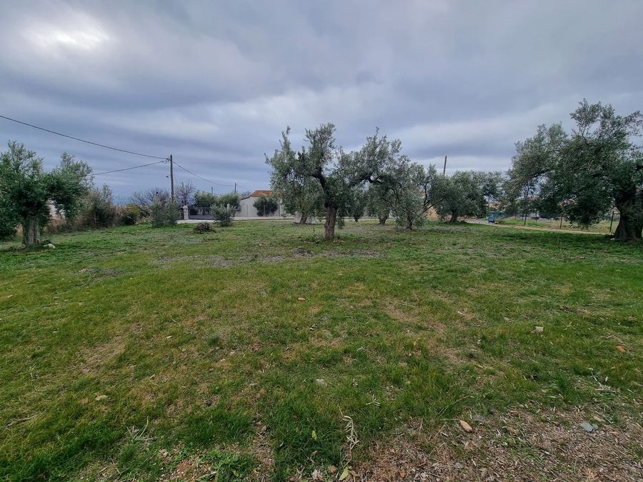 Fotografija 304413797